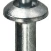 Core Products By Industry Dottie | 1/4'' X 1-1/2'' Zamac Alloy Anchor W/ Removable Screw